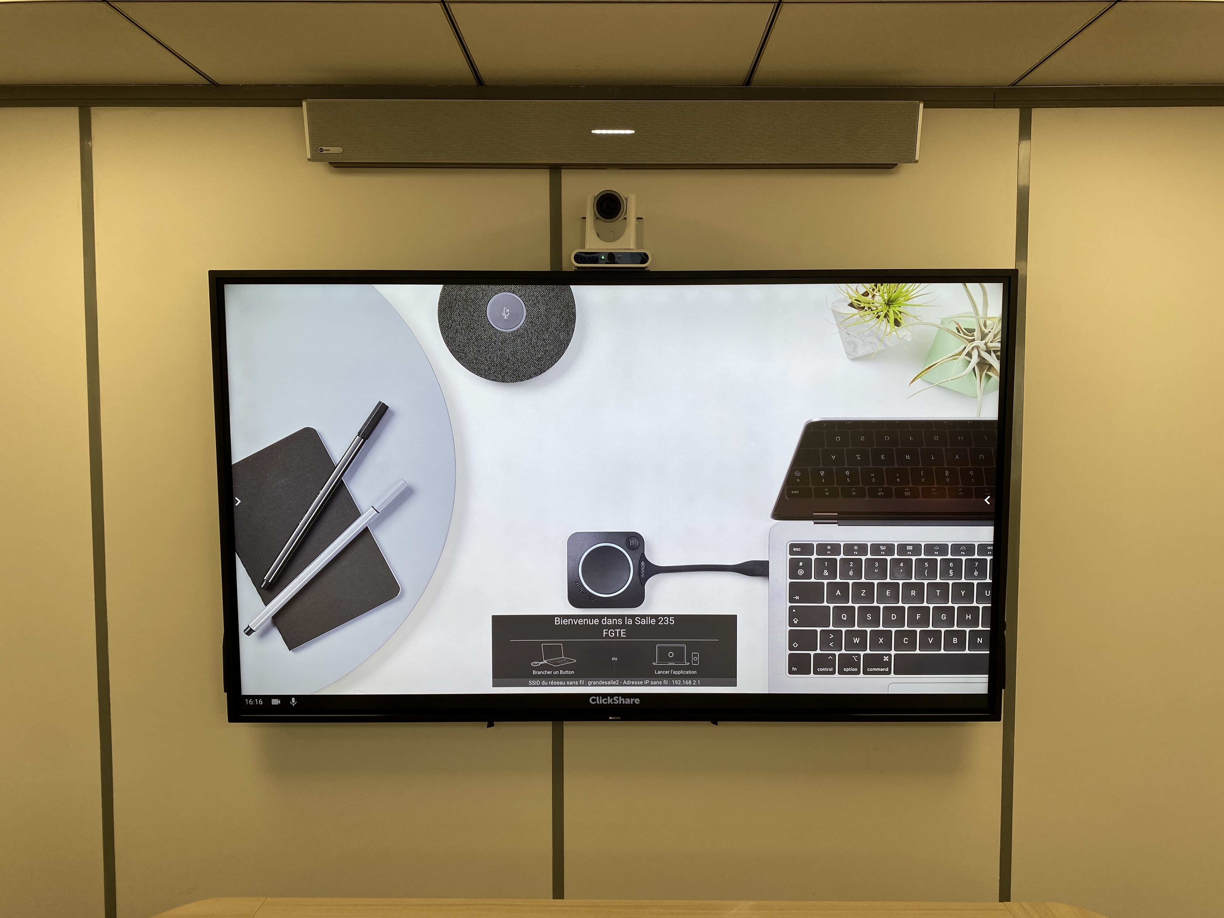 Multimedia